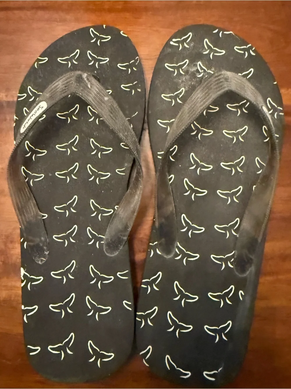 SEAWORLD Men’s Flip Flops, Size 11, Good Used Condition